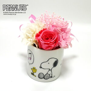 yCZXizXk[s[[Y~jJbvNOTE iThank youEHappy BirthdayECongratulations)/ vU[uht[   t[ t[Mtg L Xk[s[ 킢 G C