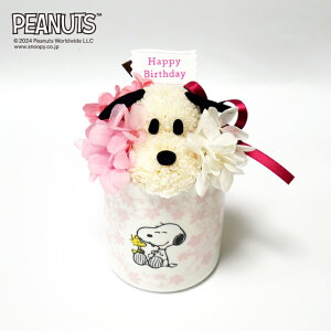 yCZXiz ԃXk[s[Eu[~O Happy Birthday / vU[uht[   t[ t[Mtg L Xk[s[ 킢 G CeA v[