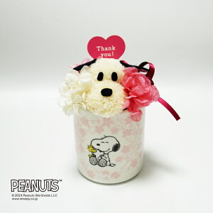 yCZXiz ԃXk[s[Eu[~O iThank youECongratulationsj/ vU[uht[   t[ t[Mtg L Xk[s[ 킢 G Ce