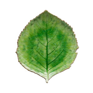 |gK̐HCOSTA NOVA/ RIVIERA nChWA[t22cmig}ej/H e[uEGA M M  t  G CeA v[g Mtg