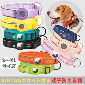  L AirTag |PbgtňS qh~  GA^O Dog