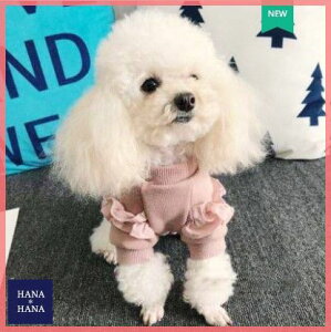 Dog Cat  t gbvX obNfUC t H  L