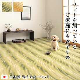 日和 カーペット 絨毯 ラグ 洗えるカーペット PPカーペット レジャーシート アウトドア 洗える ペット 国産 日本製