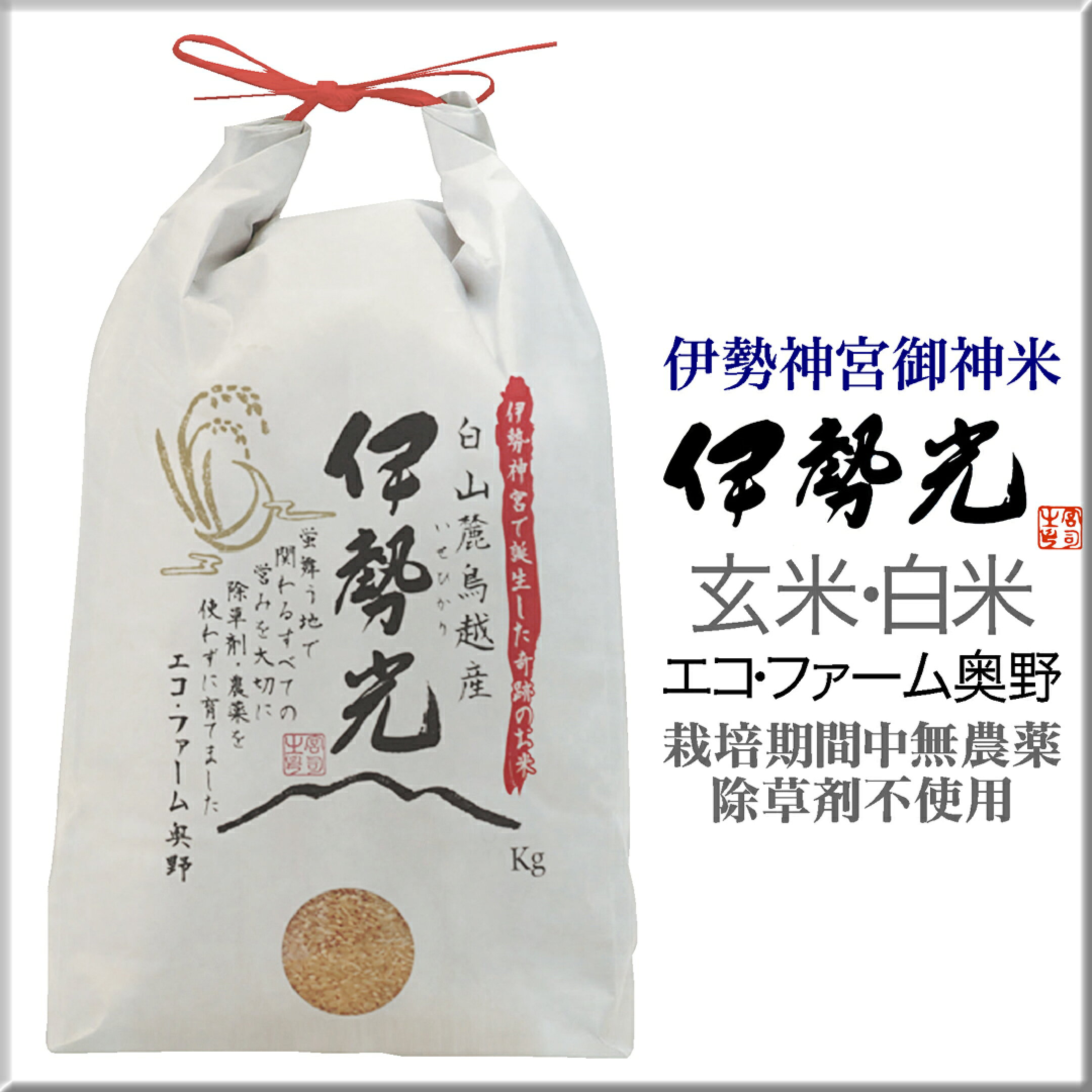 令和7年度産新米イセヒカリ