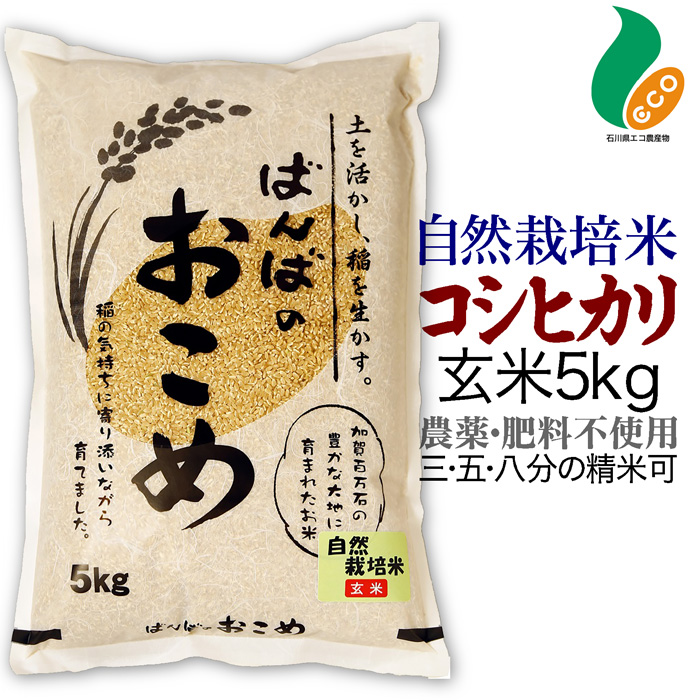 楽天市場】令和5年度産 自然栽培米 コシヒカリ 玄米 5kg 送料無料米