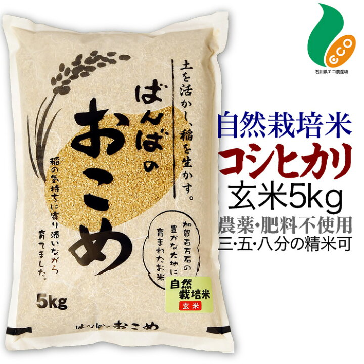 楽天市場】令和6年度産米 自然栽培米 コシヒカリ 玄米 5kg 送料無料米  