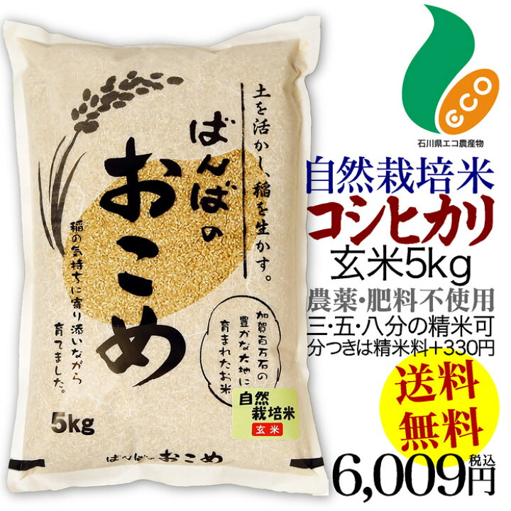 楽天市場】令和6年度産米 自然栽培米 コシヒカリ 玄米 5kg 送料無料米  