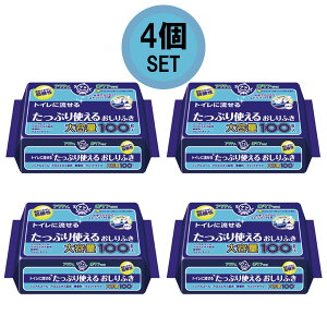 y4Zbgz100×4 ANeB gCɗ lp Ղg邨ӂ 100×4Zbg mAR[  EFbg^Cv e pi ܂Ƃߔ P[X