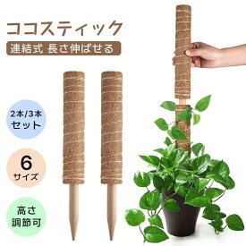 2本セット 3本セット モンステラ 支柱 ココスティック 観葉植物 支柱 園芸支柱 植物 ガーデニング用 花ささえ ココナッツ支柱 植物サポート つる性植物 トマト ポトス 支柱 園芸用 園芸支柱パーツ 高さ調整