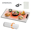 【1000円クーポン配布中】【即納】食品保温プレート 電気保温トレイ 解凍プレート 多機能食品断熱ボード フードウォー…