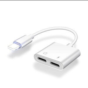 iPhone Cz ϊA_v^ ϊP[u [d 3.5mm CgjO [dȂ iPhone SE O 14 Plus 14/13 Pro iPhone 12 Pro Max XS iPhone XR XS Max ϊA_v^[ Cz WbN [d C