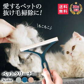 【2個以上で使えるクーポン配布中！】 ペットブラシ 猫ブラシ 犬 ペットクリーナー カーペットクリーナー 毛玉取りブラシ 毛玉取り 抜け毛 カーペット ソファー クリーナー ペット 猫の毛 犬の毛 絨毯 キャットタワー 掃除 便利 便利グッズ 繰り返し使用 毛とりクリーナー