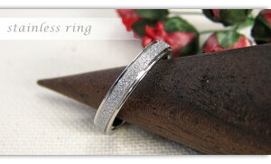 VR AM[Ή XeXO X^[_XgOXeX O w 316L AM[ΉfB[X Y yA yAO  jNX}X v[g Mtg 