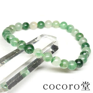 VR ōO[hyזzAtJY O[ JZhj[ uXbg6mm aF16cm TCYfB[X Y  p[Xg[ VR΁y[֕s