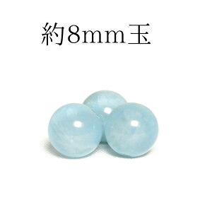 VR ō3AO[h uWY _[N LbcAC ANA} 8mmʁʂ r[Y o 1 背fB[X Y  p[Xg[ (816) Mtg v[