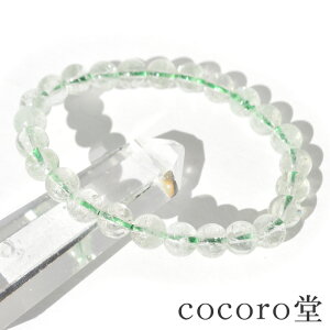 VR p[Xg[y_́z uWY O[ AWXg uXbg 7mm F15.5cm TCŶ݉EC[ύX fB[X Y   p[X