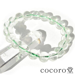 VR p[Xg[y_́z uWY O[ AWXg uXbg 10mm F16cm TCŶ݉EC[ύX fB[X Y   p[X