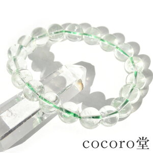 VR p[Xg[y_́z uWY O[ AWXg uXbg 11mm F15.5cm TCŶ݉EC[ύX fB[X Y   p[