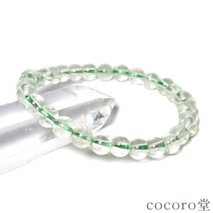 VR p[Xg[y_́z uWY O[ AWXg uXbg 6mm F16cm TCŶ݉EC[ύX fB[X Y   p[X