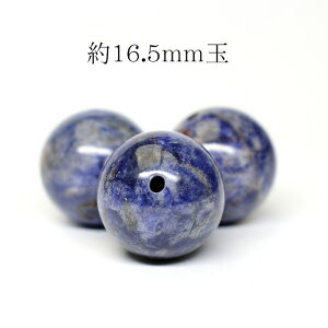 VR AtJY f`Cg AQ[g 16.5mmʁʂ r[Y o 1 背fB[X Y  p[Xg[ (1105) Mtg v[g 蕨 j 
