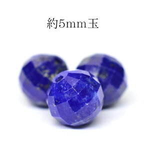 VR p[Xg[ AtKjX^Y sXY XNGAJbg 5mm ʂ r[Y o 1  fB[X Y   (1131) Mtg v[g 蕨 