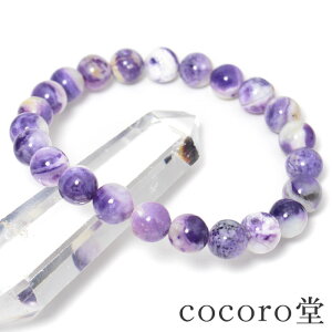 VR y_́z AJY eBt@j[Xg[ AA+ uXbg8mm F17cm TCŶ݉EC[ύXfB[X Y  p[Xg[ y[