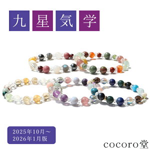 VR p[Xg[ yזz ӒuX 㐯Cw Ӓ 肢 ܍s ^ 2025N10`2026N1 p[Xg[ uXbg TCYEC[ύX fB[X Y 