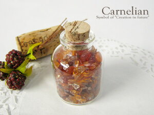 VR p[Xg[ KXr i32×48~j J[lA 򉻗p  30gVR p[Xg[y[֕sz Mtg v[g 蕨 j  j  a bs