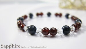 y10OFFzVR uXbg RrAYu[Tt@CA AAAA 6mm K[lbg5mm p[Xg[ fB[X Y y[֕sz Mtg v[g 蕨 j  j  a 