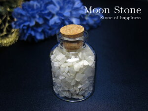 VR p[Xg[ KXr i32×48~j [Xg[ 򉻗p  30gVR p[Xg[y[֕sz Mtg v[g 蕨 j  j  a b