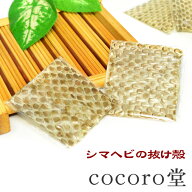 天然石 【メール便送料無料】※単品販売【ポーチ付き】幸運を呼ぶ シマヘビの抜け殻お財布に入れる金運UP…