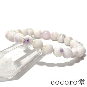 VR uXbg eBt@j[Xg[ A+N 8mm p[Xg[ fB[X Y y[֕sz Mtg v[g 蕨 j  j  a bsO 