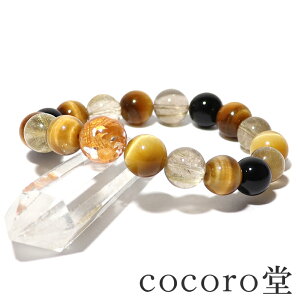 �p���[�X�g�[�� �u���X���b�g ������������ ���� �S�[���f���^�C�K�[ ���`���N�H�[�c �I�j�L�X �V�R�� ���^ ���^ �����^ ���� ���� 14mm�� �S�[���f���^�C�K�[ ���`���N�H�[�c �I�j�L�X ����