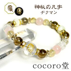 VR 6ނ烁CIׂ uXbgyaN}z  ʎSo}U[Iup[ [YNH[c X[L[NH[c  p[Xg[ fB[X Y Mtg