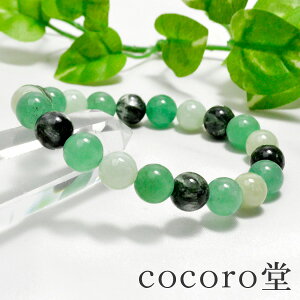 VR p[Xg[ uXbg wVg̉Hx AAA p[Xg[ fB[X Y Mtg v[g 蕨 j  j  a bsO  y[֕sz