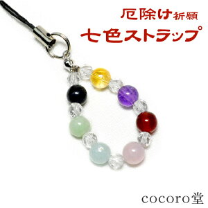 y50OFFzVR p[Xg[ Xgbv  7F̋P  AWXg Vg J[lA ANA} Ő fB[X Y ^   Mtg v[g 蕨 j