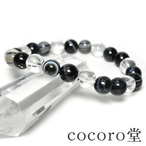 VR p[Xg[ uXbg z[NXAC AtJY V `xbgY  8mm AAA p[Xg[ fB[X Y Mtg v[g 蕨 j  j  a b