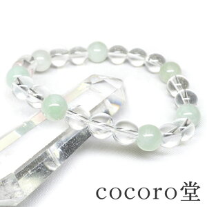 VR p[Xg[ uXbg Ђ Ő AAA  8mm p[Xg[ fB[X Y Mtg v[g 蕨 j  j  a bsO 