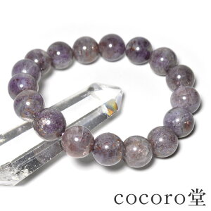 VR p[Xg[ y_́z uWY ACICg TXg[ uXbg LY12mm F17.5cm TCŶ݉EC[ύXfB[X Y 