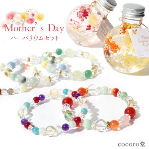 VR 2025N ̓ Mtg  n[oE Zbg v[g p[Xg[ uXbg fB[X   y[֕sz v[g 蕨 j  j  a bsO