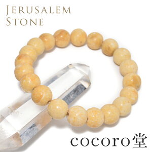 VR p[Xg[ yזz CXG xcwY  GTXg[ uXbg ؖt10mm TCYEC[ύXfB[X Y  