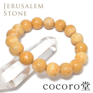 VR p[Xg[ yזz CXG xcwY  GTXg[ uXbg ؖt12mm TCYEC[ύXfB[X Y  