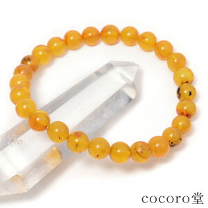 VR p[Xg[ VR Ao[ () uXbg 6`7mm F16.5`17cm TCYEC[ύX fB[X Y   y[֕sz Mtg v[g 