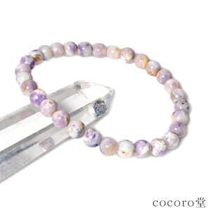 VR p[Xg[ yזz AJ ^BY eBt@j[Xg[ uXbg 6mmʁTCYEC[ύX fB[X Y   y[֕sz