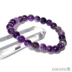 VR p[Xg[ yזz AtJY P[v AWXg uXbg 8mm TCYEC[ύX fB[X Y  