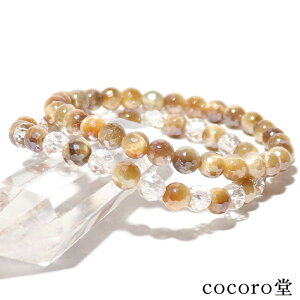 VR p[Xg[ yזz S[f ^CK[AC tbVJbg uXbg Iׂ2 6mm TCYEC[ύX fB[X Y  