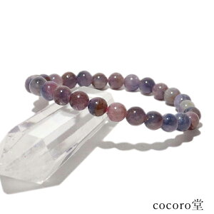 VR p[Xg[ yiz ~bNX Tt@CA R_ uXbg 7mm F16.5cm TCŶ݉EC[ύX fB[X Y   y