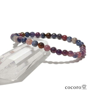 VR p[Xg[ yiz ~bNX Tt@CA R_ uXbg 5mm F17cm TCŶ݉EC[ύX fB[X Y   y[