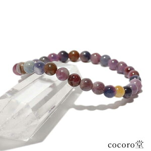 VR p[Xg[ yiz ~bNX Tt@CA R_ uXbg 5.5`6mm F16cm TCŶ݉EC[ύX fB[X Y   y