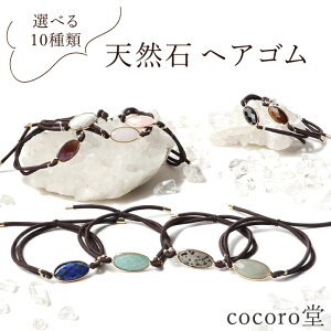 VR p[Xg[ yזz VR wAS wAANZT[ Iׂ10 VR΃v[gTCYF11×20mm F17`18cm TCYs fB[X Y 